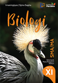 Image of Biologi Kelas XI