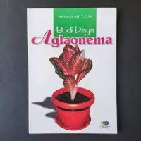 Image of Budi Daya Aglaonema