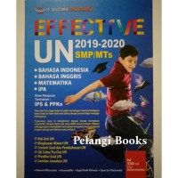 Image of Effective UN 2019-2020 SMP/MTS